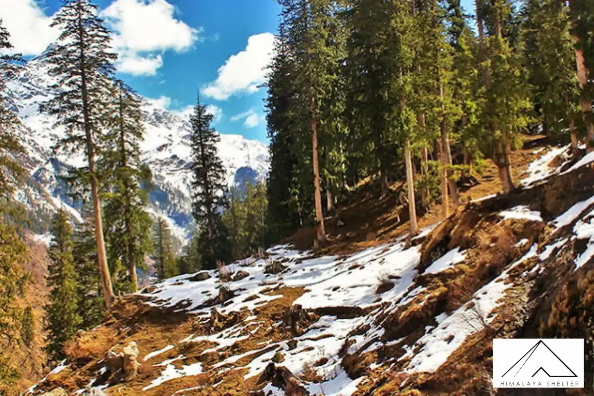 Gallery photo - Kheerganga Trek 1