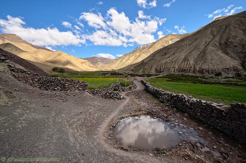 Gallery photo - Spituk Trek Ladakh 4
