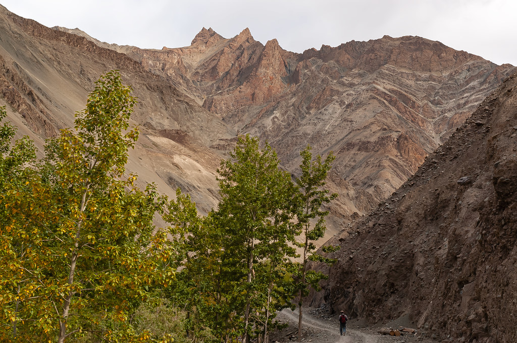 Gallery photo - Spituk Trek Ladakh 2