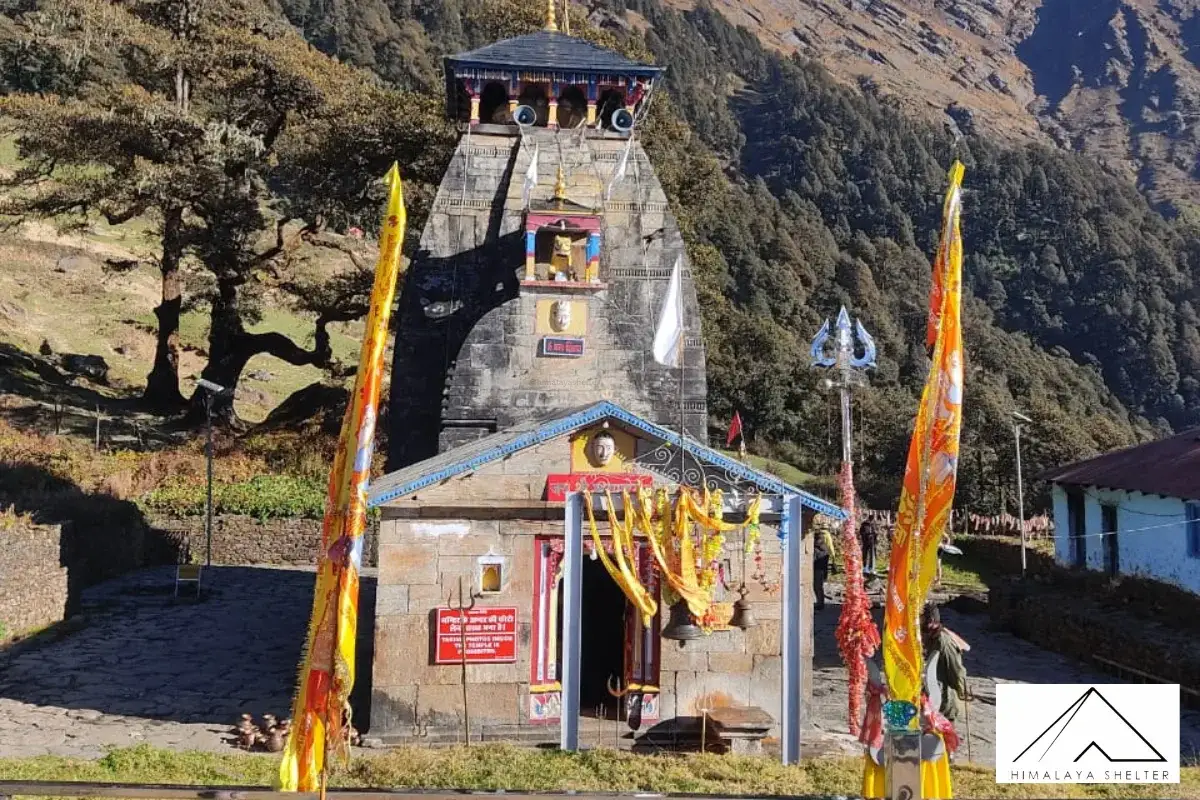 Gallery photo - Panch Kedar Trek 5