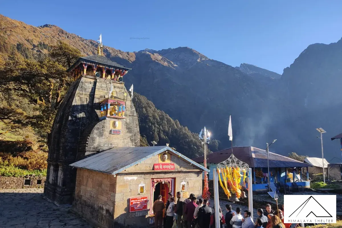 Gallery photo - Panch Kedar Trek 10