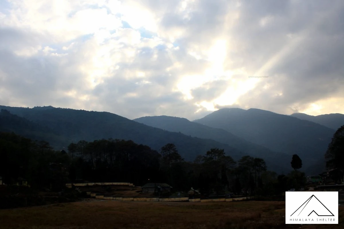 Gallery photo - Uttarey Singalila Trek 4