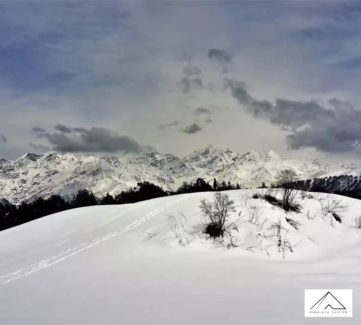 Gallery photo - GHT Trek In Uttarakhand For Beginners 1