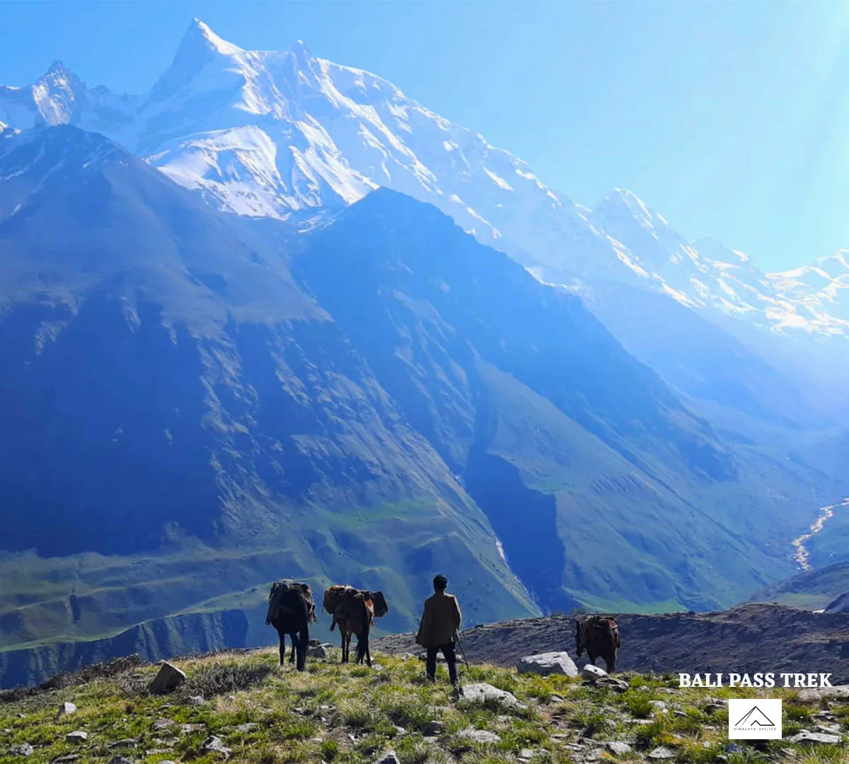 Gallery photo - Great Himalaya Trails GHT 19