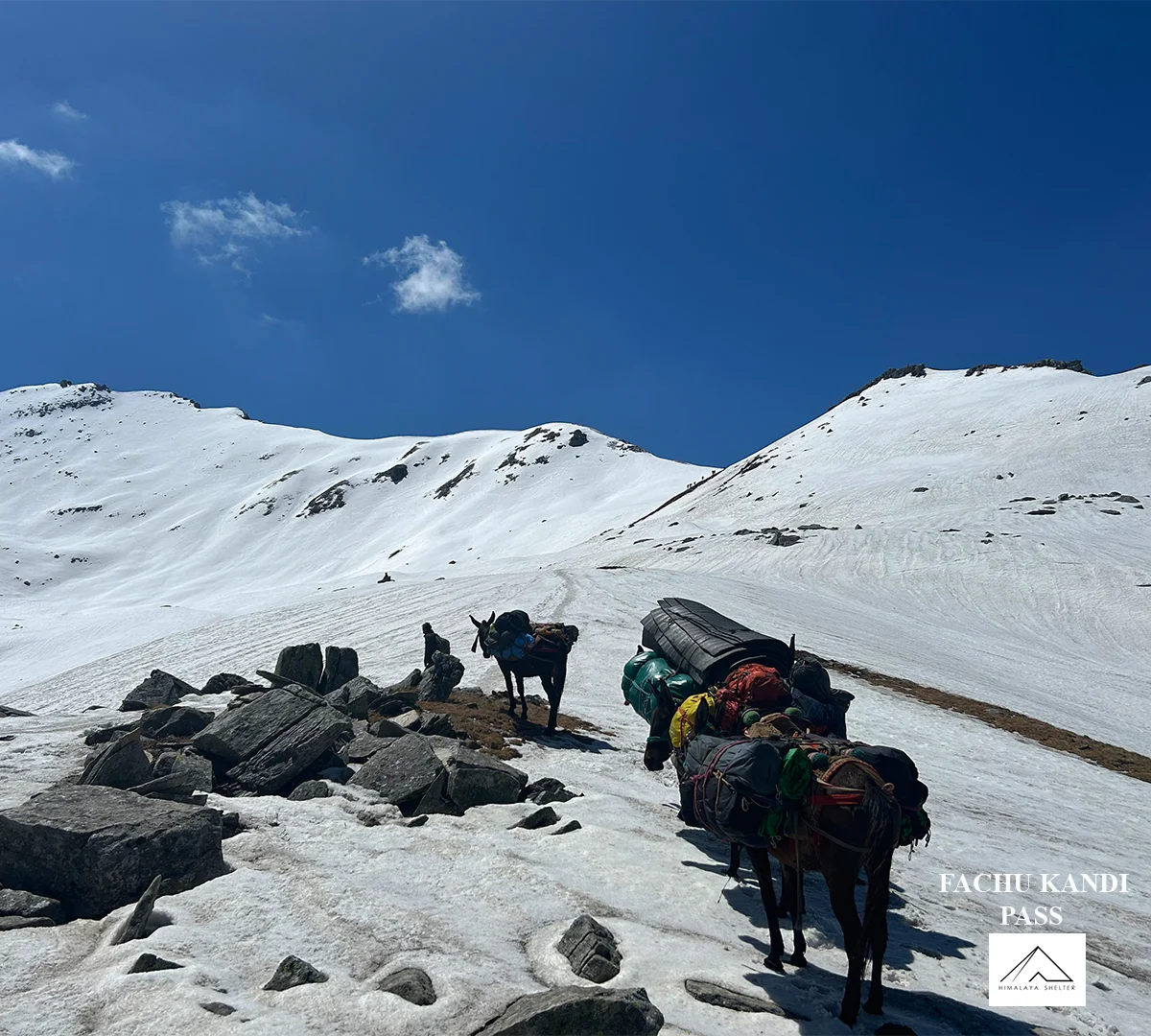 Gallery photo - Great Himalaya Trails GHT 24