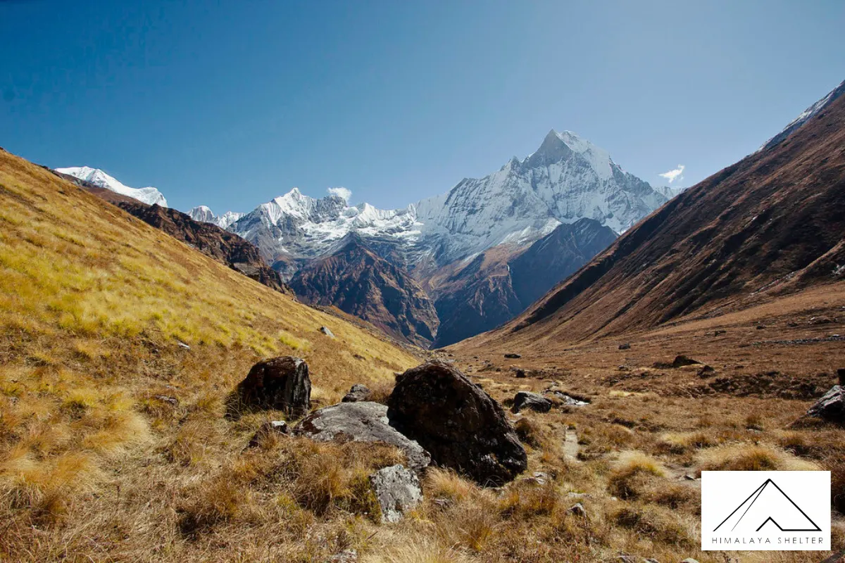 Gallery photo - Annapurna Base Camp Trek 8