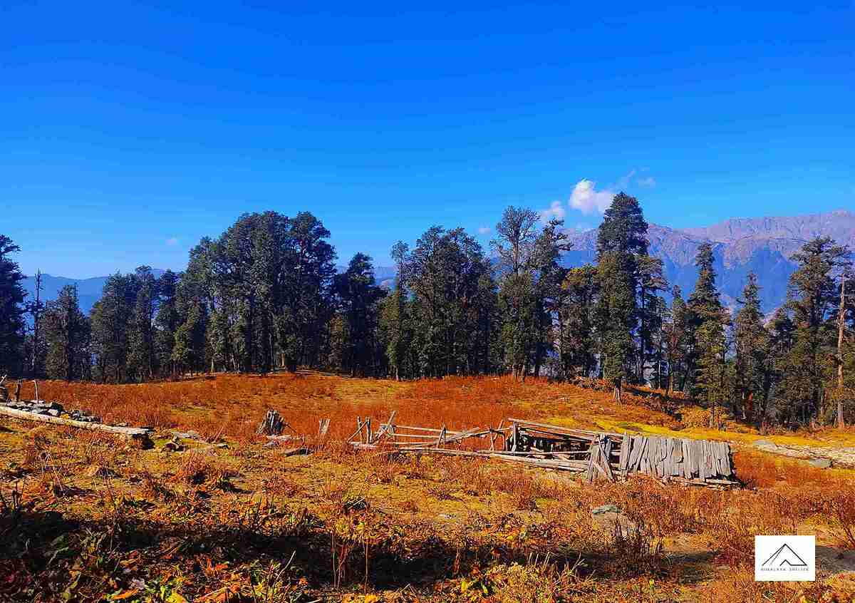 Gallery photo - Aancha Top Trek 9