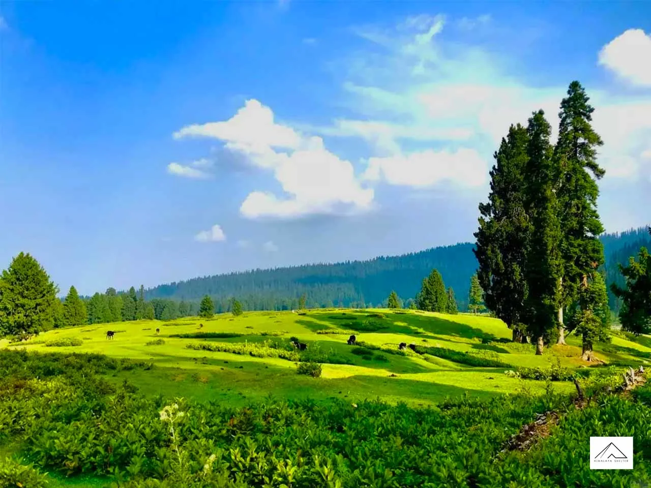 Gallery photo - Tosamaidan Trek 1