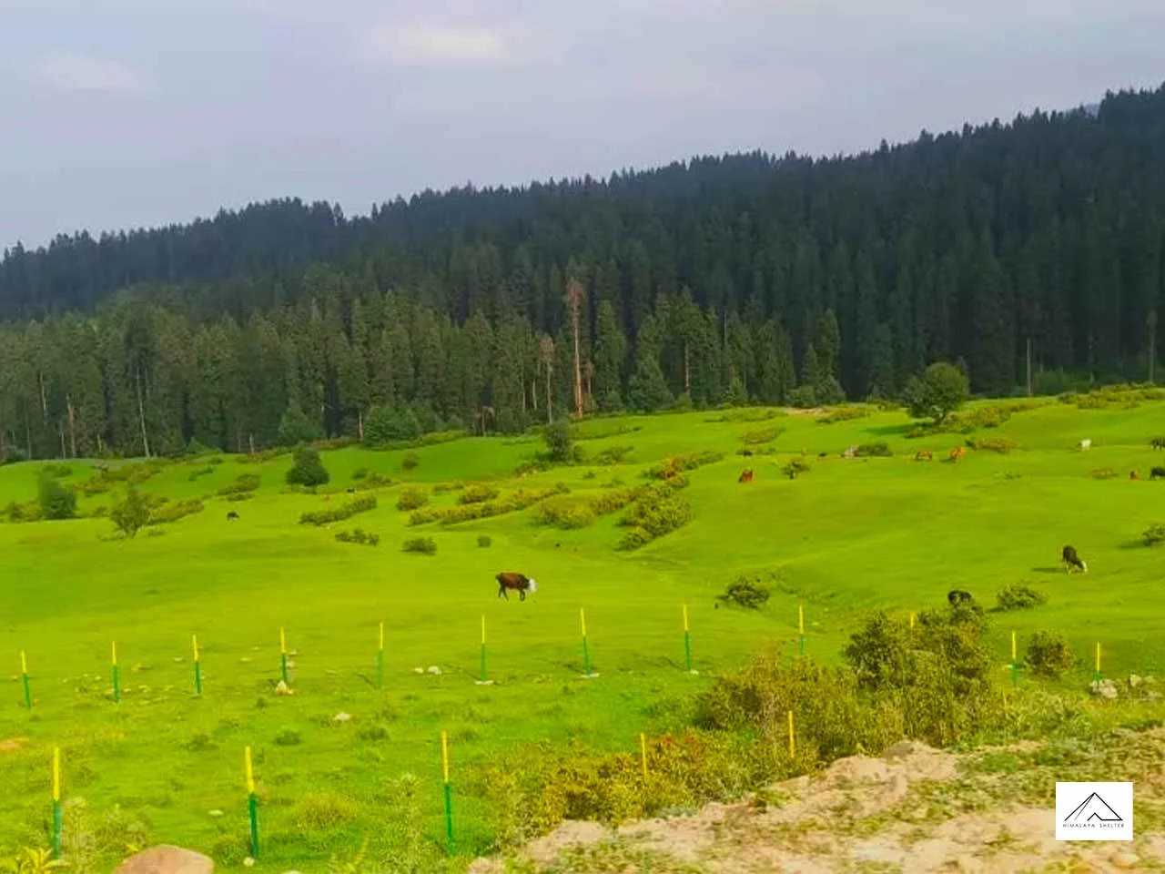 Gallery photo - Tosamaidan Trek 2