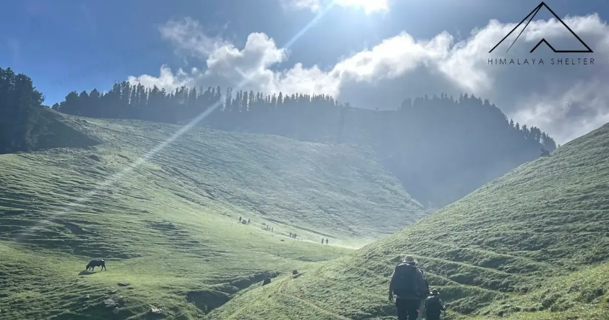 Silent Meadows Trek