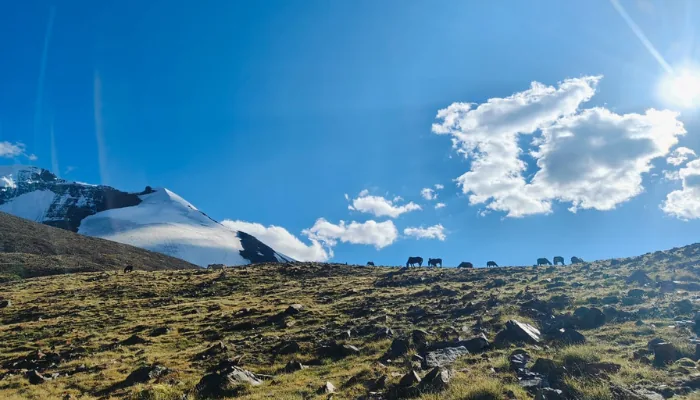 Treks In Ladakh: Land of high passes