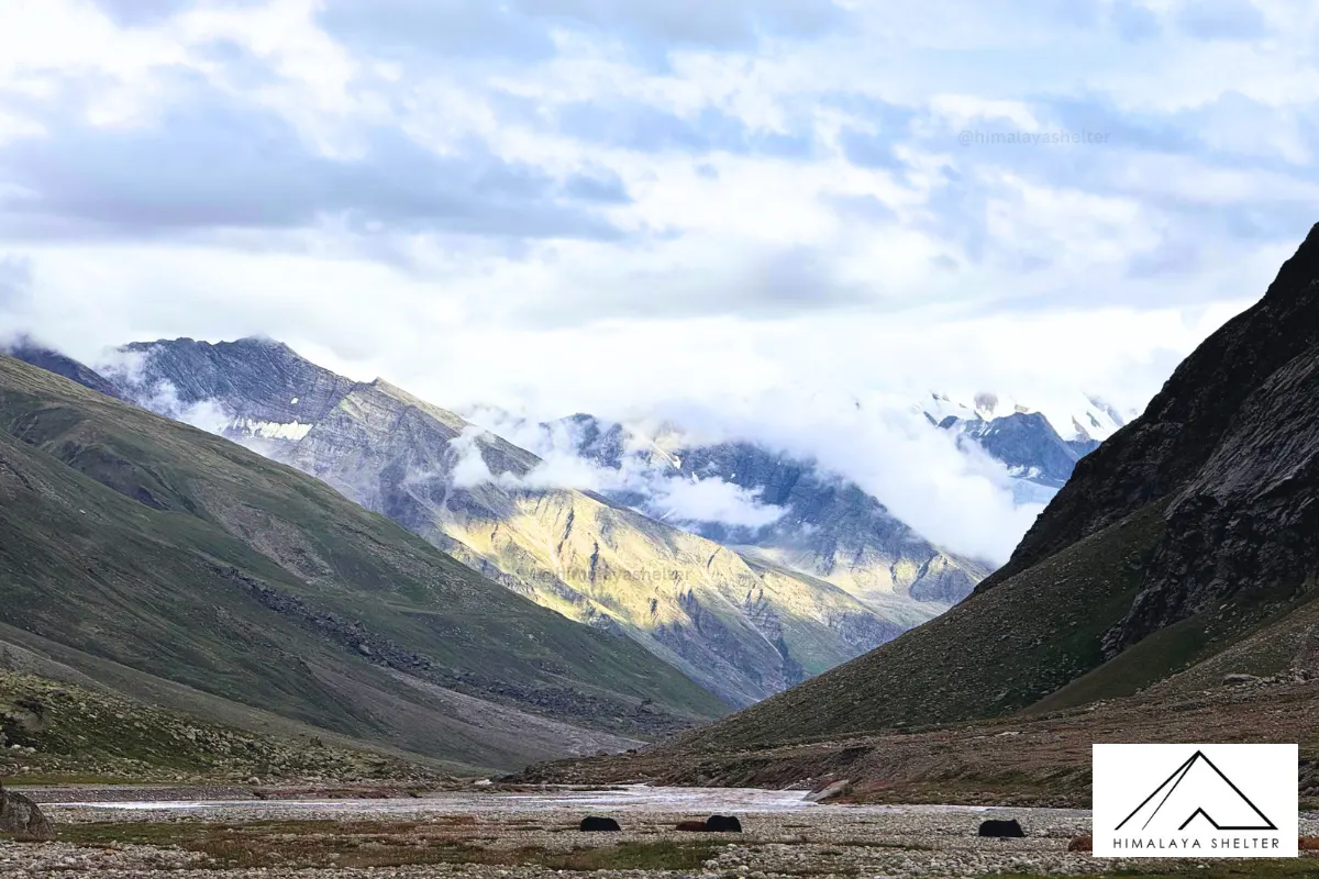 Gallery photo - Pin Bhaba Pass Trek 3