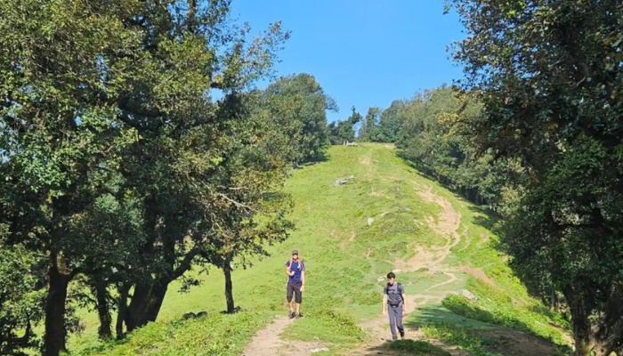 Nag Tibba Trek A Short Himalayan Journey