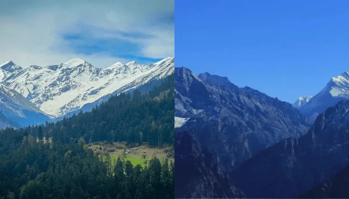 Kedarkantha vs Kuari Pass Trek: Best winter treks in uttarakhand
