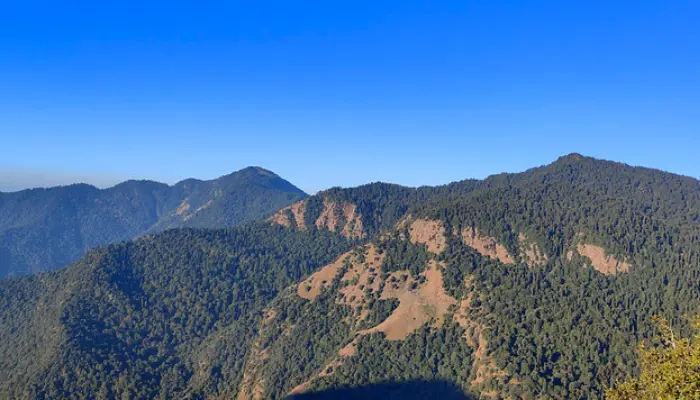 Chopta&mdash;Mini Switzerland of India