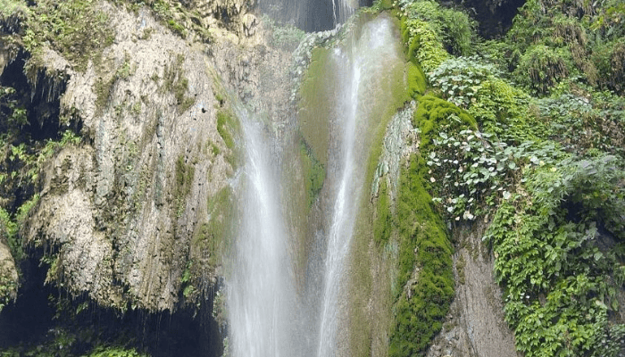 Patna Waterfall Trek