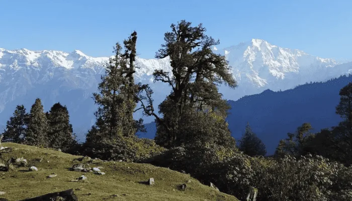 Best One Day Hiking Spots In Kumaon Uttarakhand
