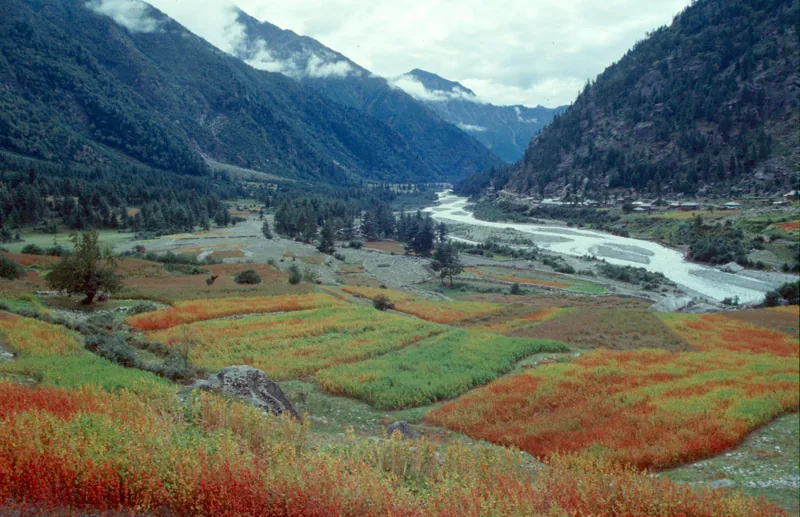 Dalai Lama Trek trek in the Himalayas by Himalaya Shelter