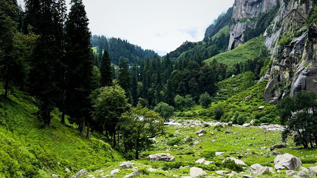 Hampta Pass Trek Forest