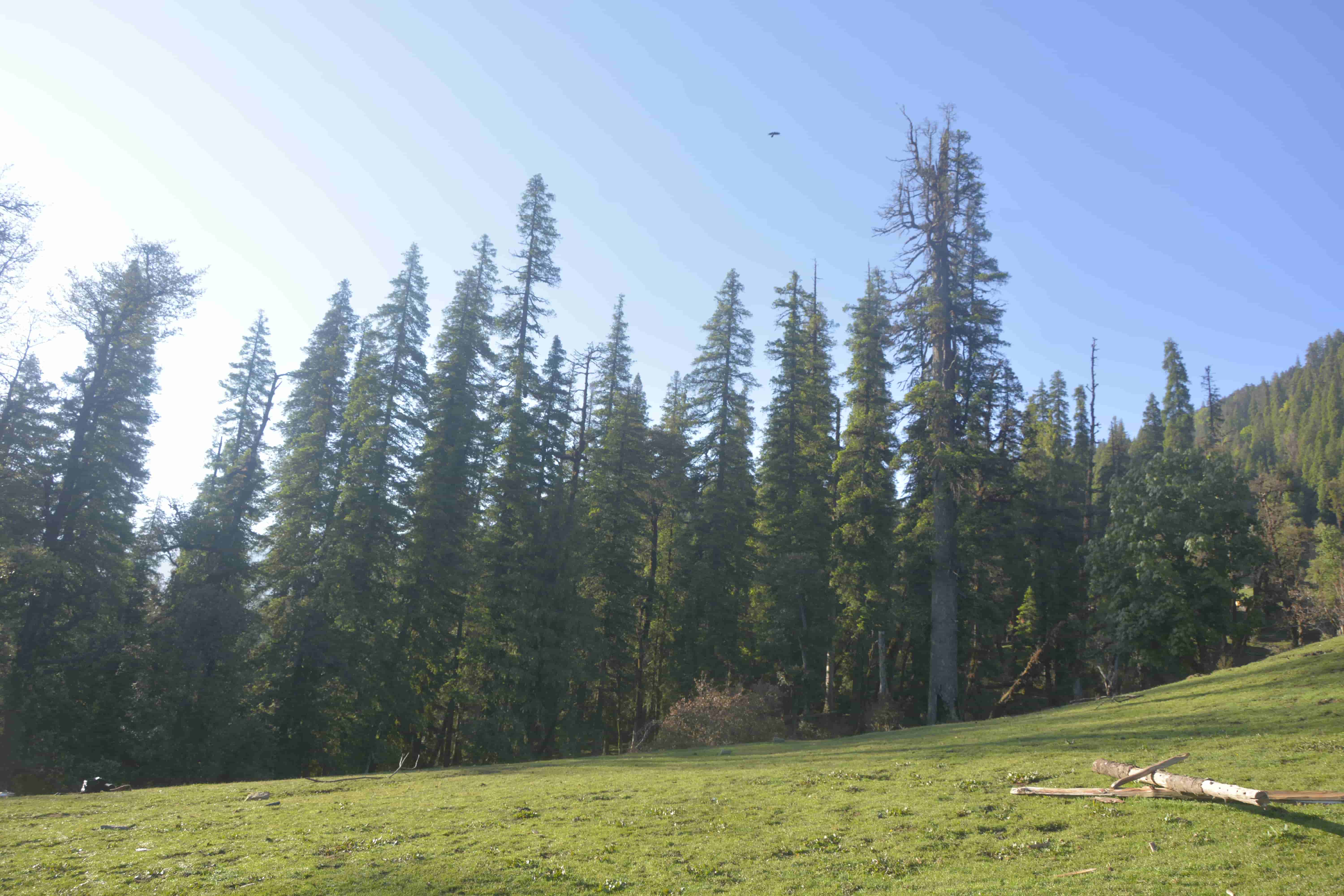phulara trek in summer