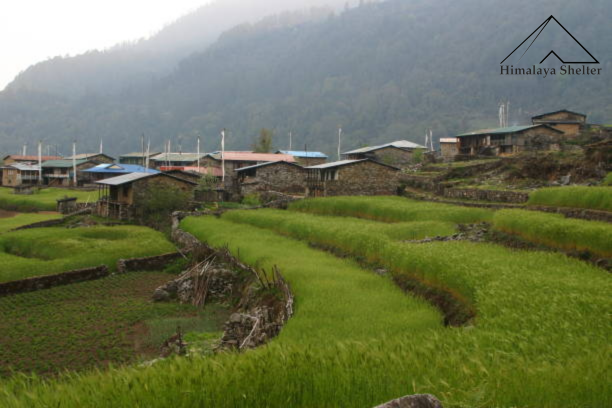 Dantu Village in Darma Valley Trek