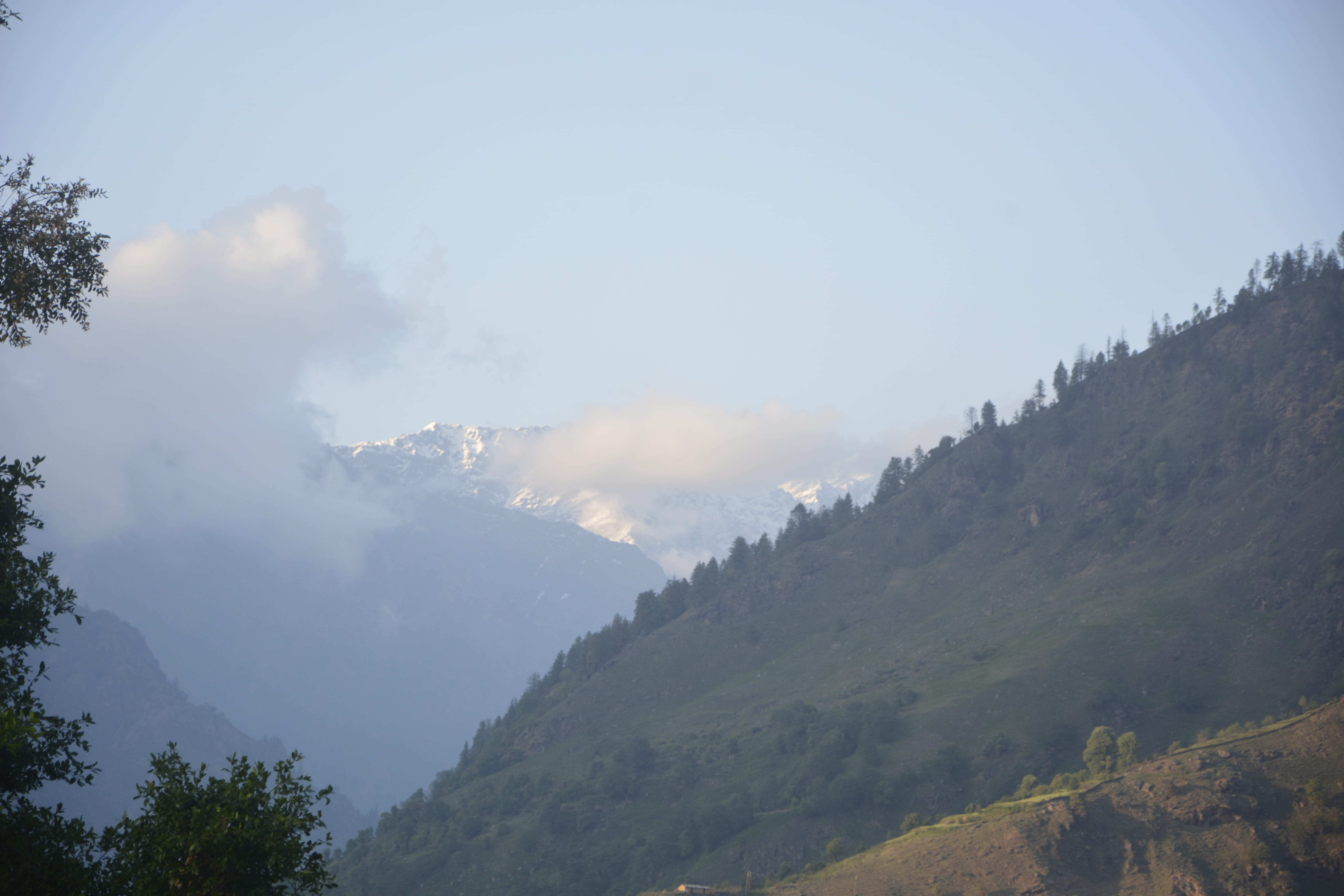 view from Sankri Guest House