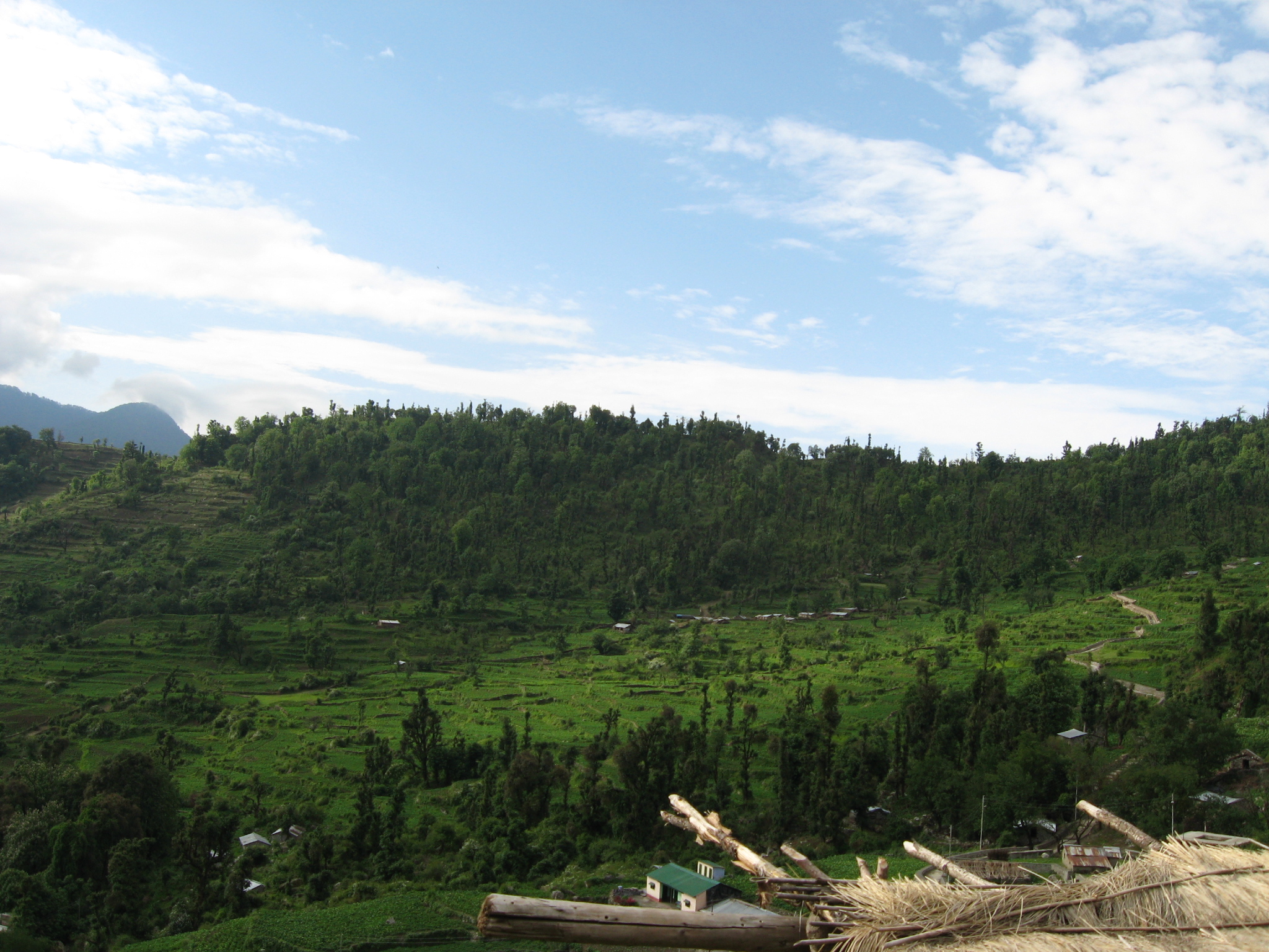 dayara bugyal trek in summer