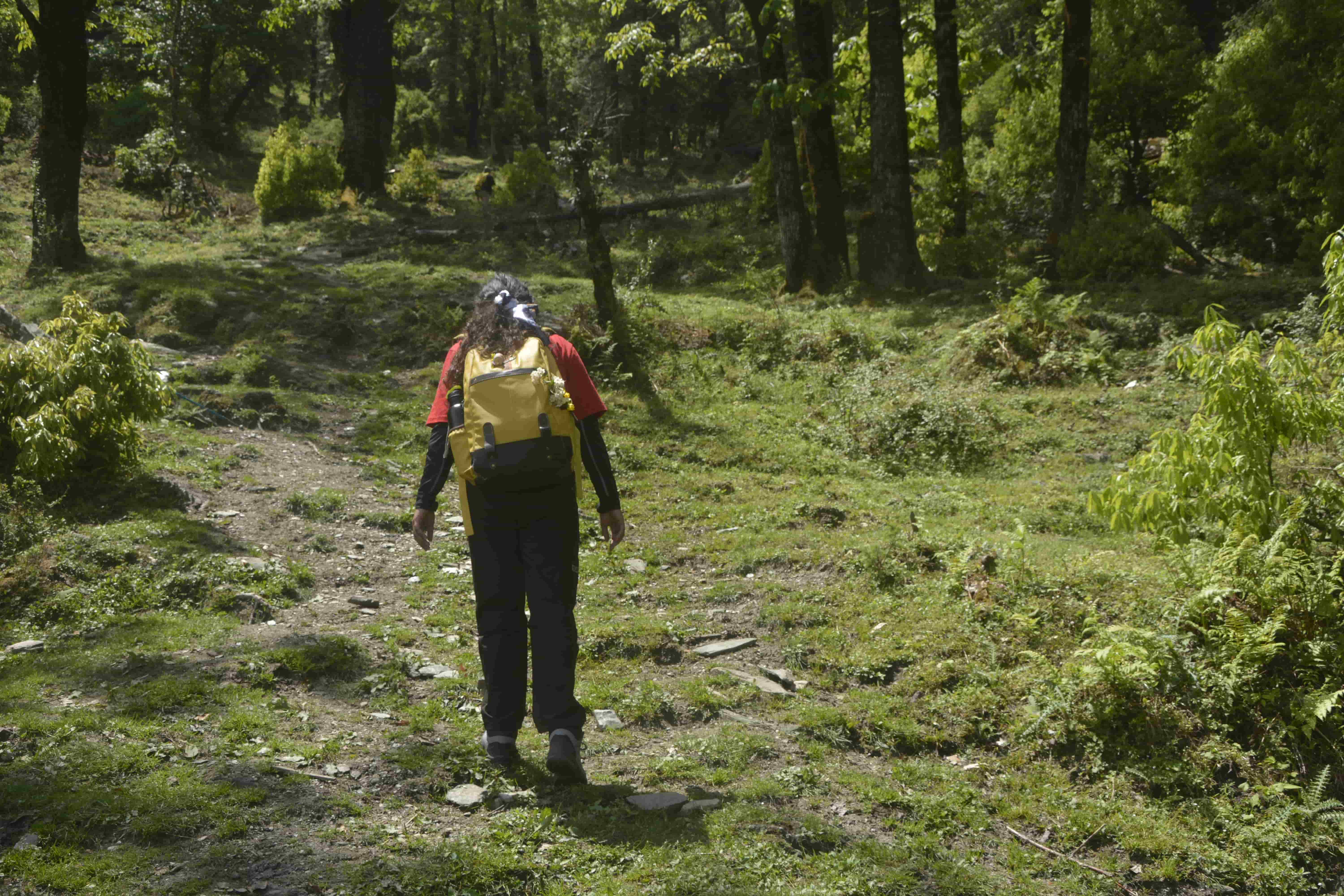 forest trail in phulara ridge trek
