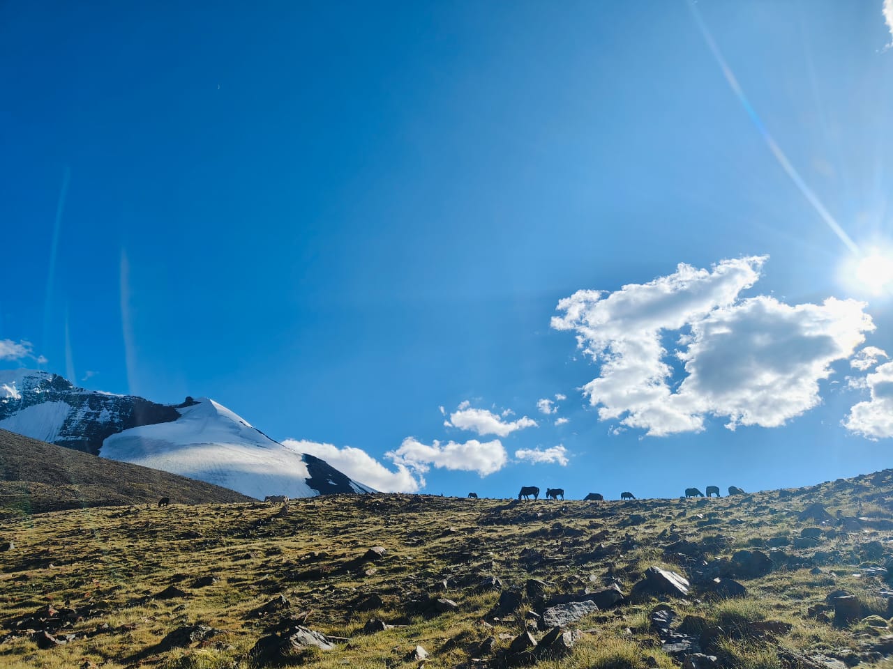 views from Markha Valley Trek