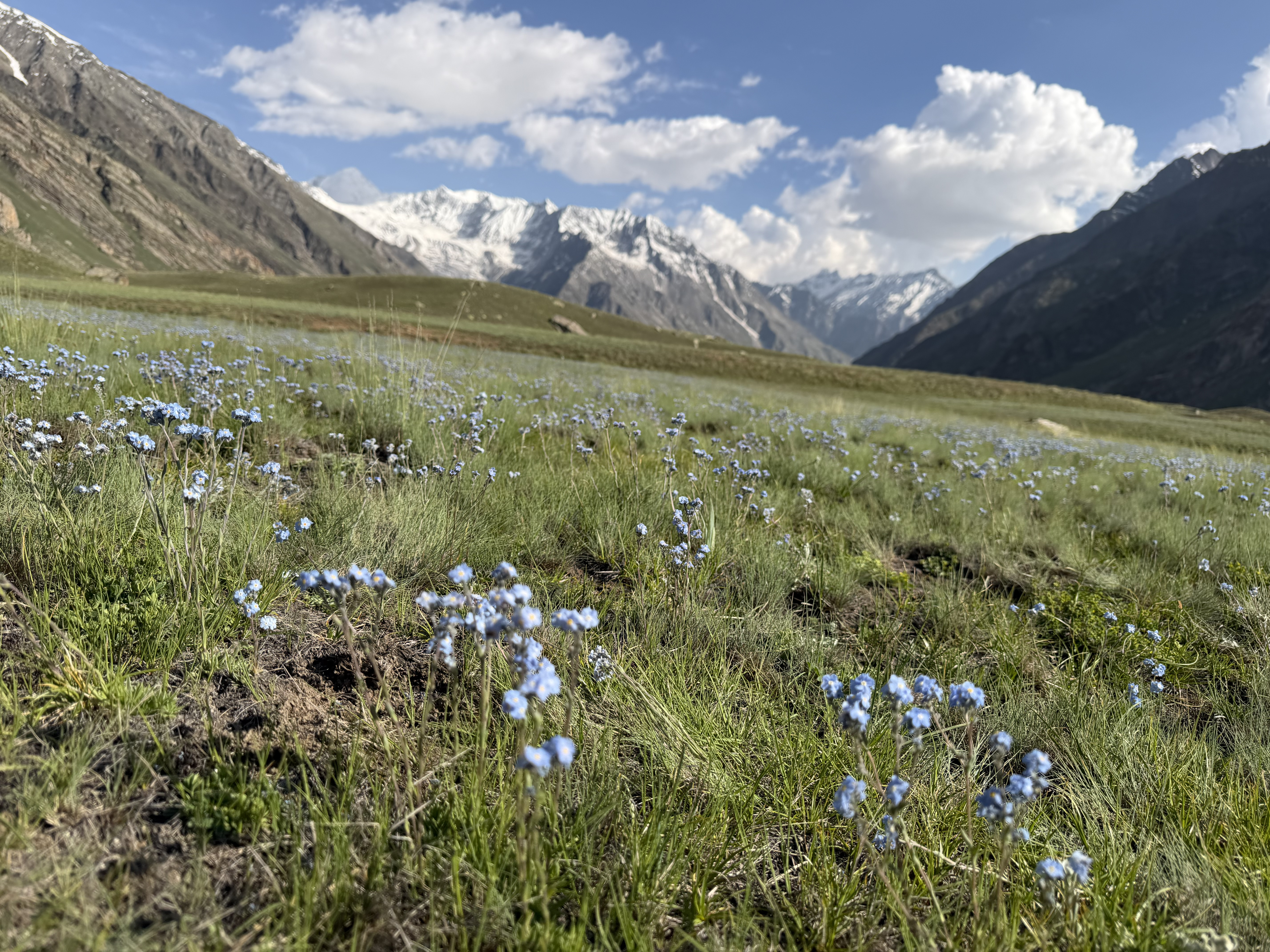 Miyar Valley Trek: The Colorful Side of Lahaul