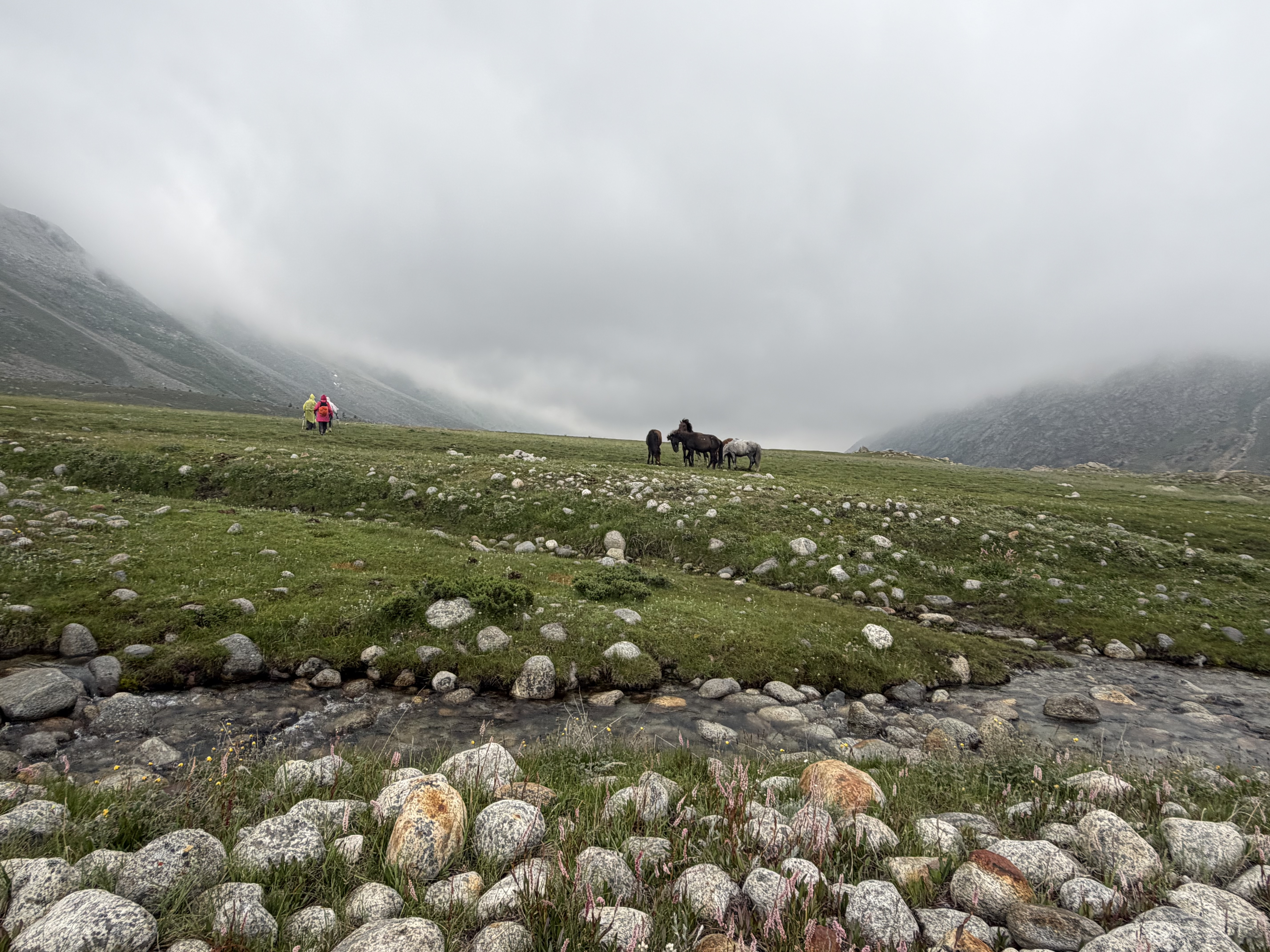 landscape of miyar valley trek