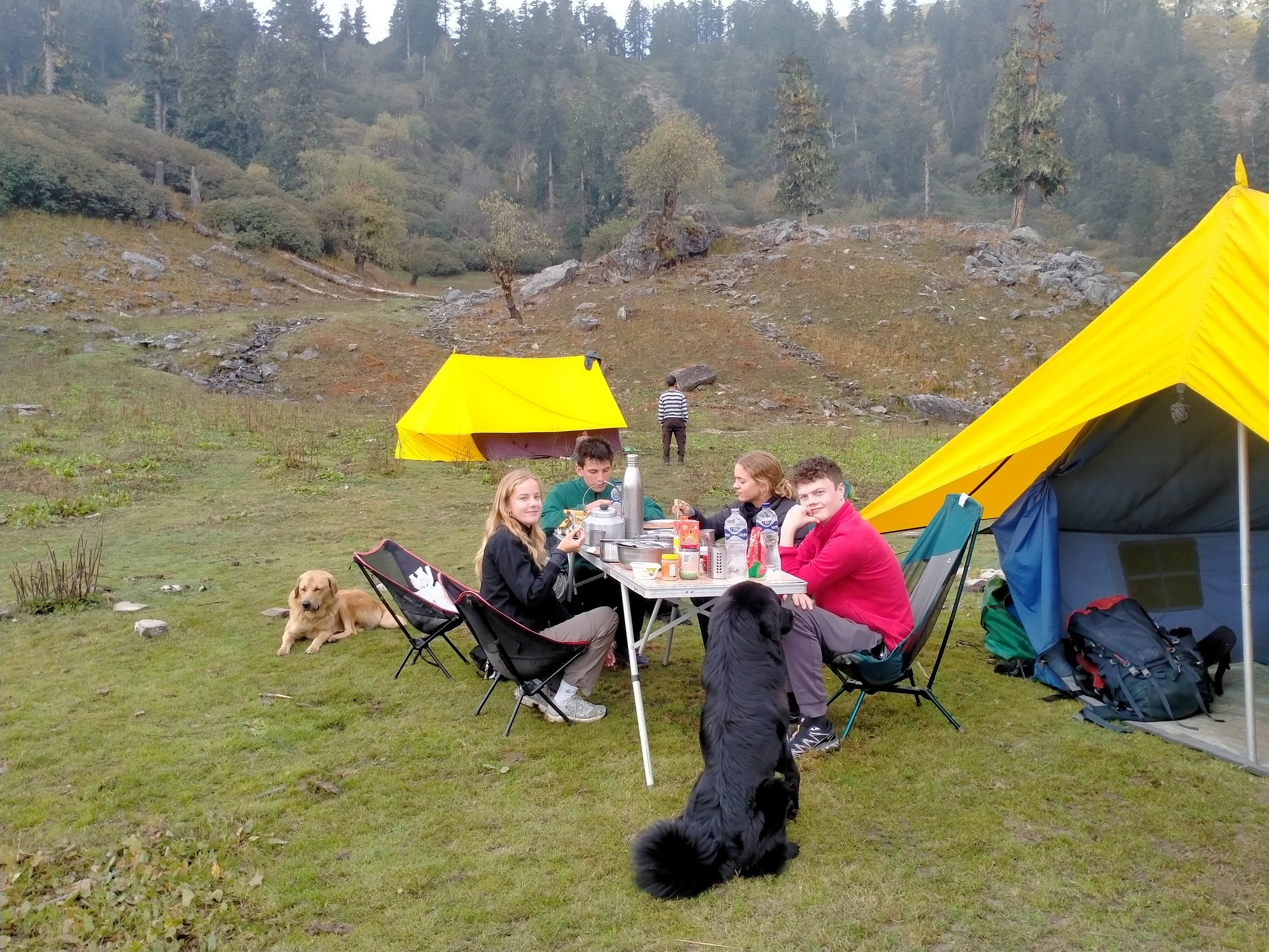 camping in Kuari Pass Trek