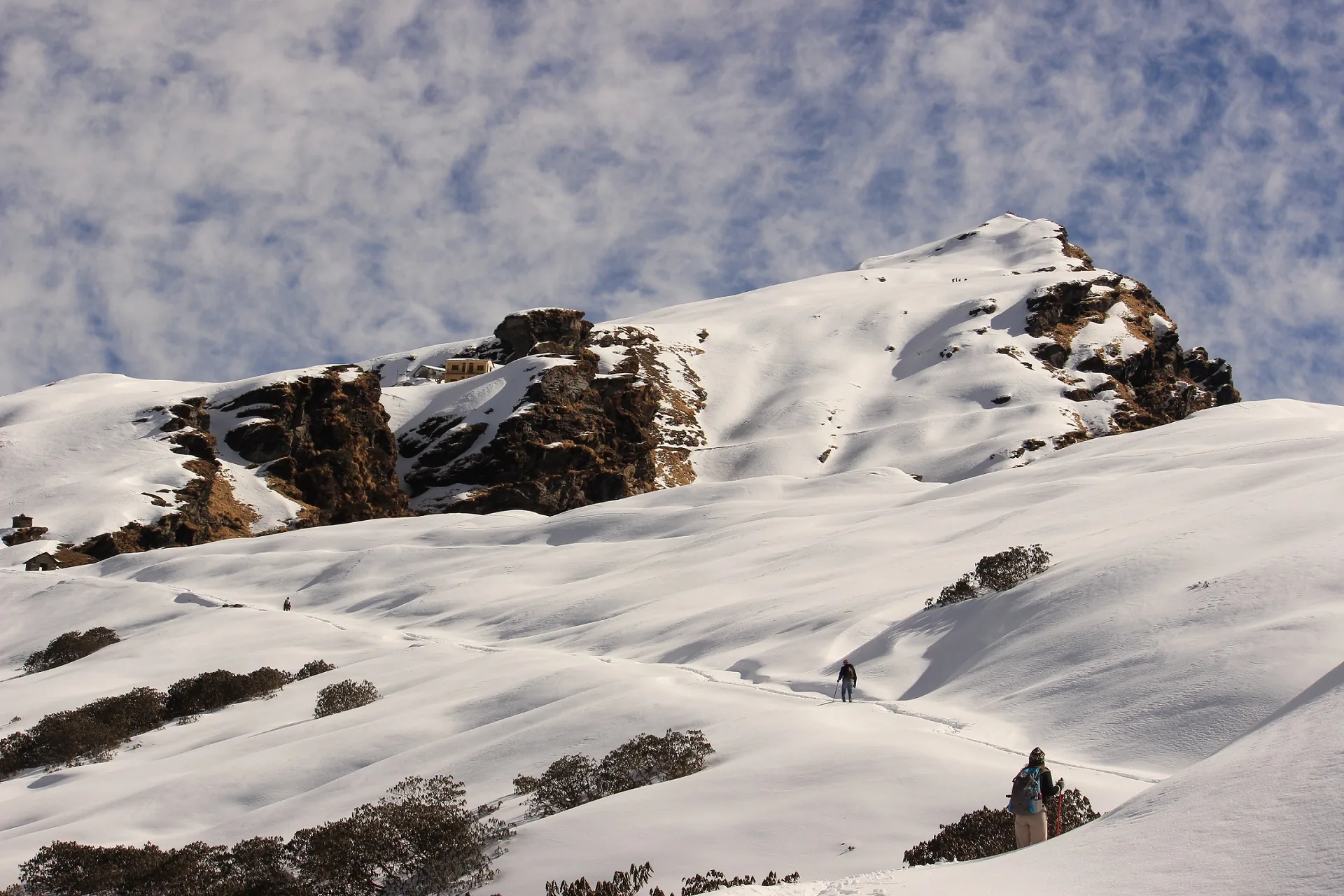Chopta in Winter