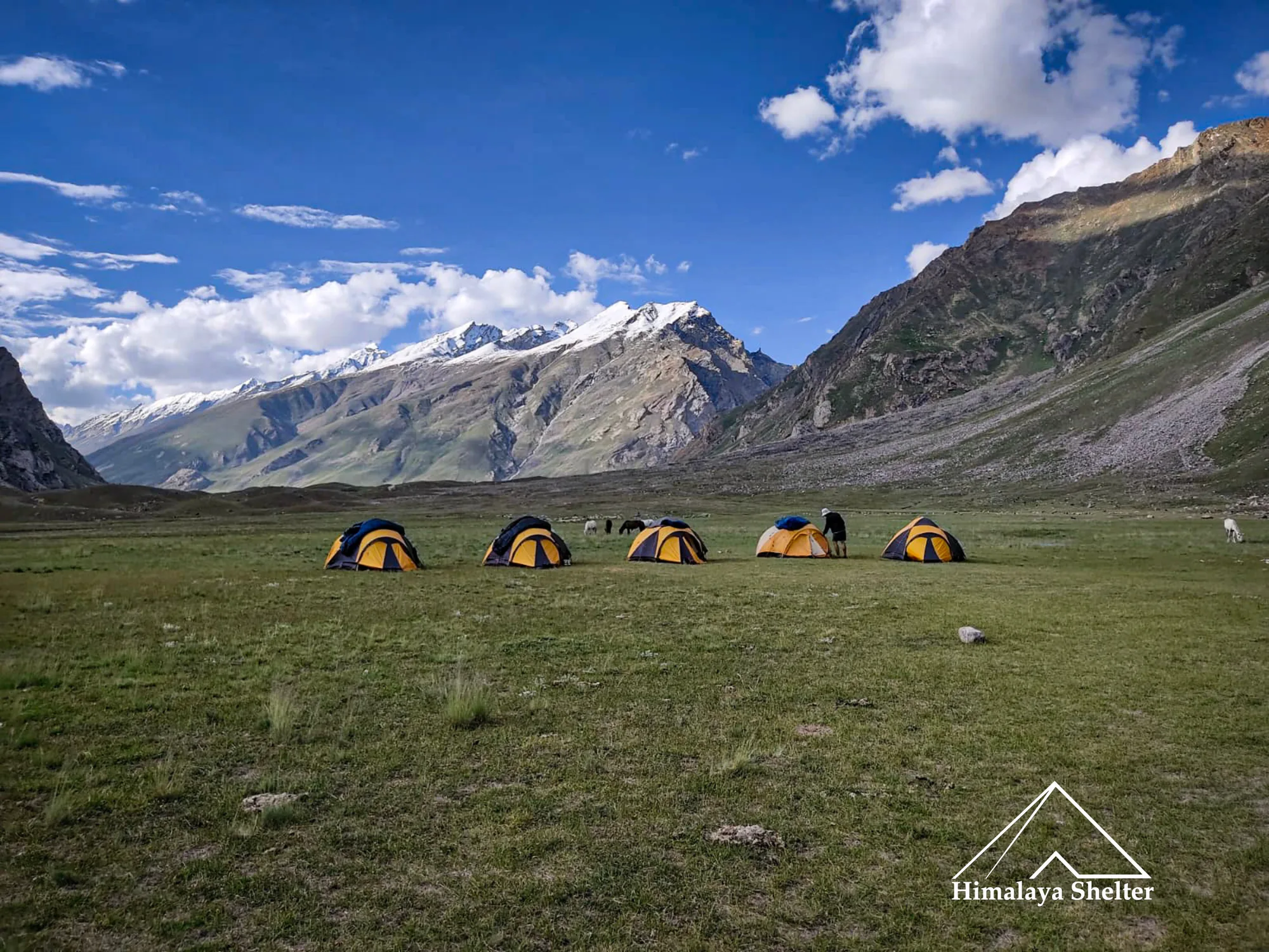 yolling campsite