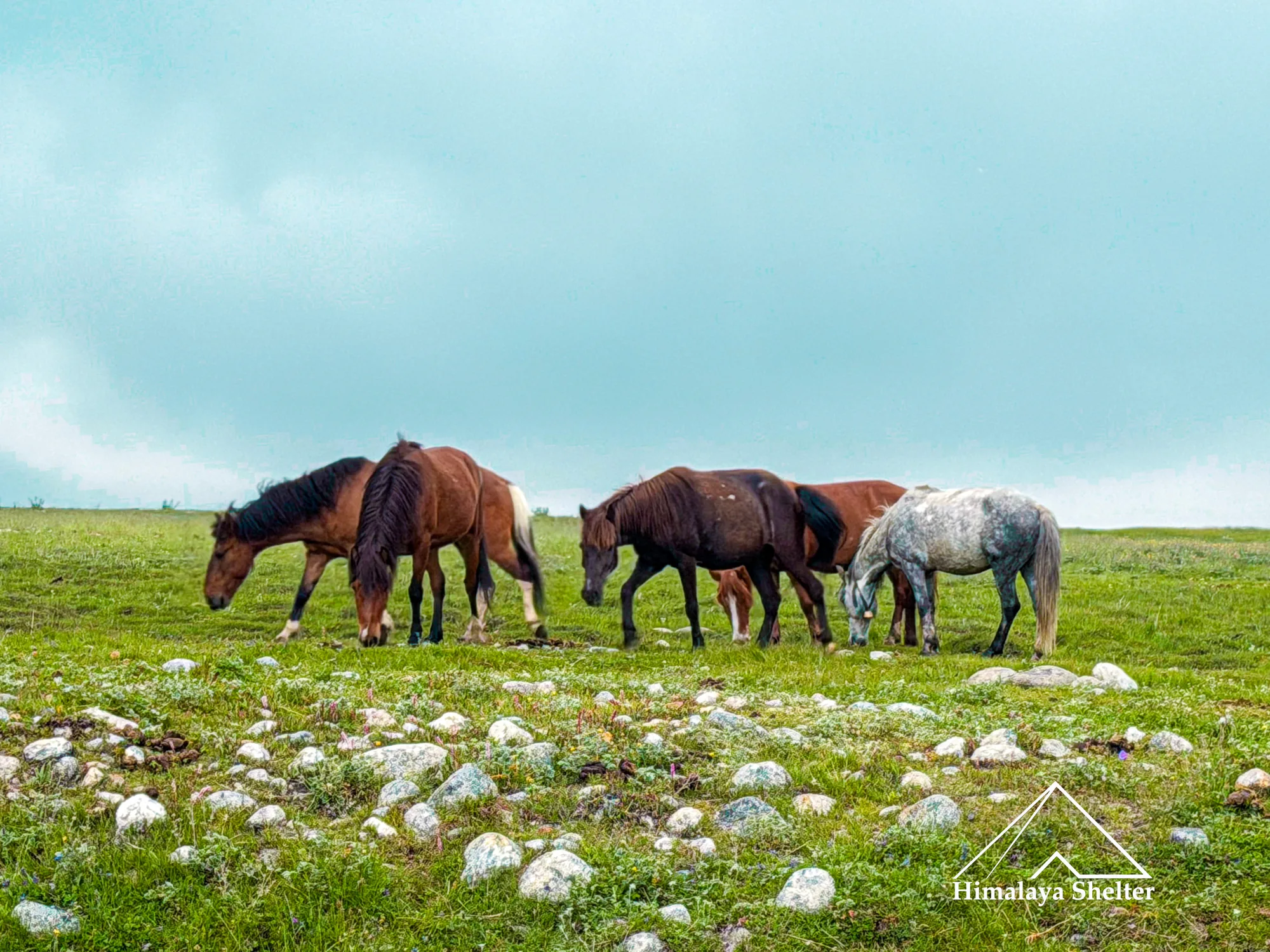 beautiful landscape of miyar valley