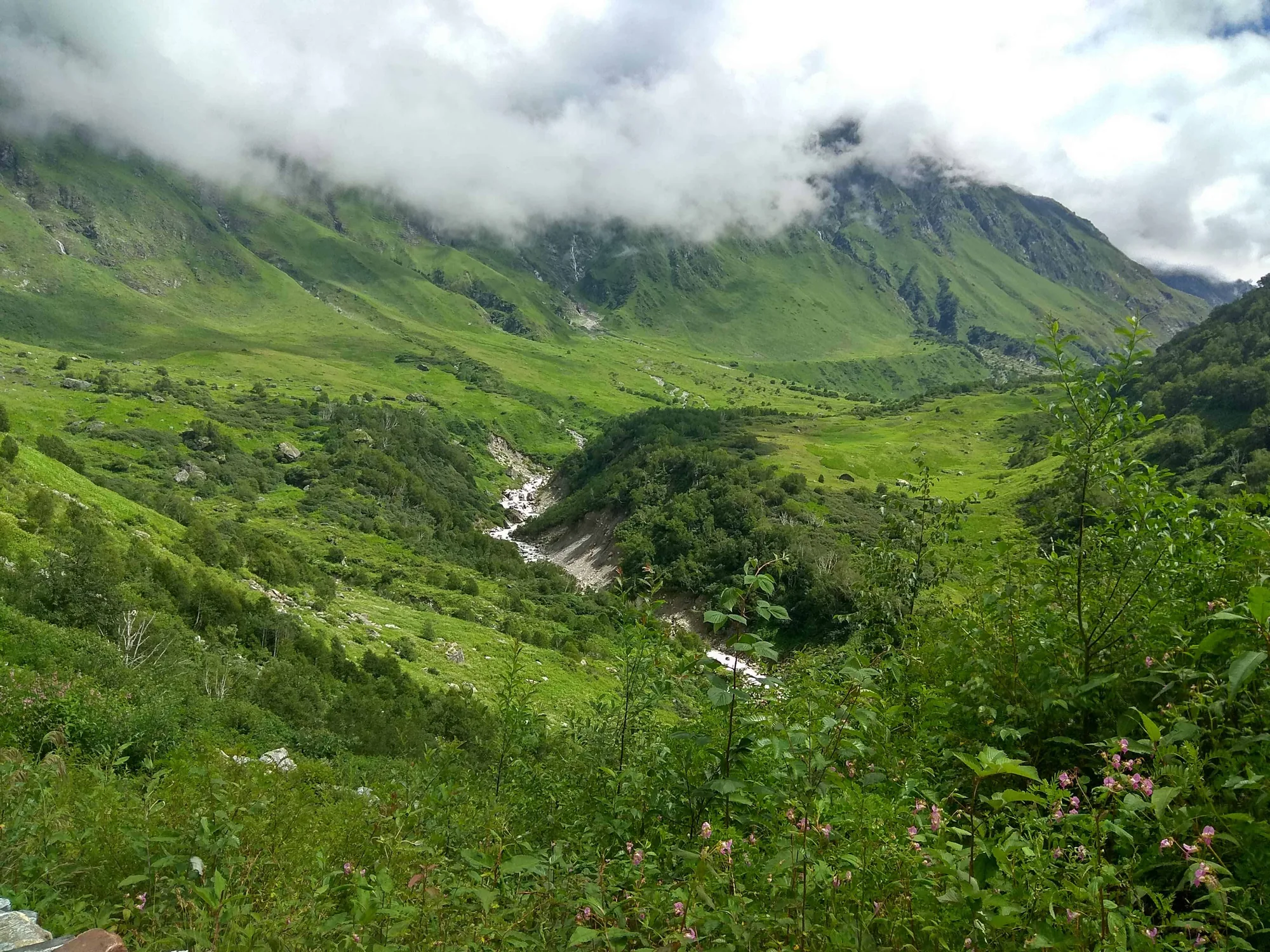 valley of flowers trek