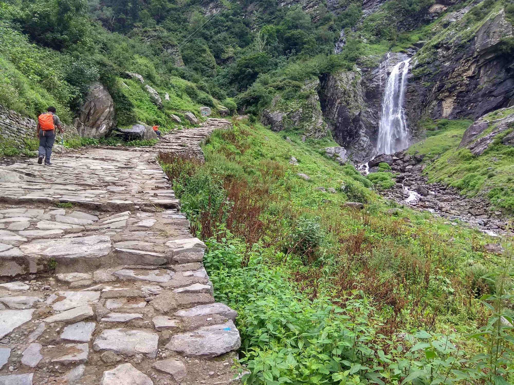 valley of flowers trek Uttarakhand