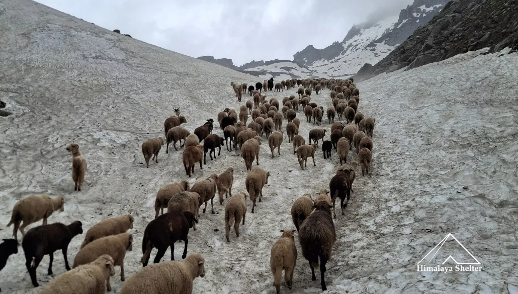 hampta pass in summer