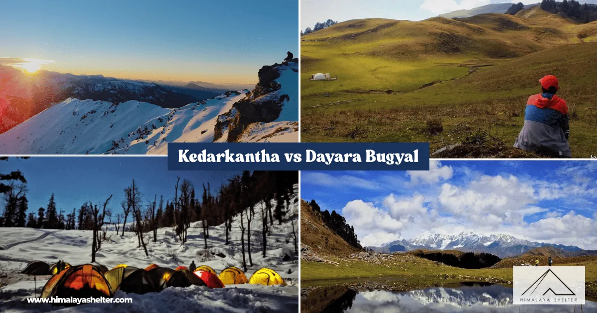 Kedarkantha vs Dayara Bugyal: Popular treks in uttarakhand