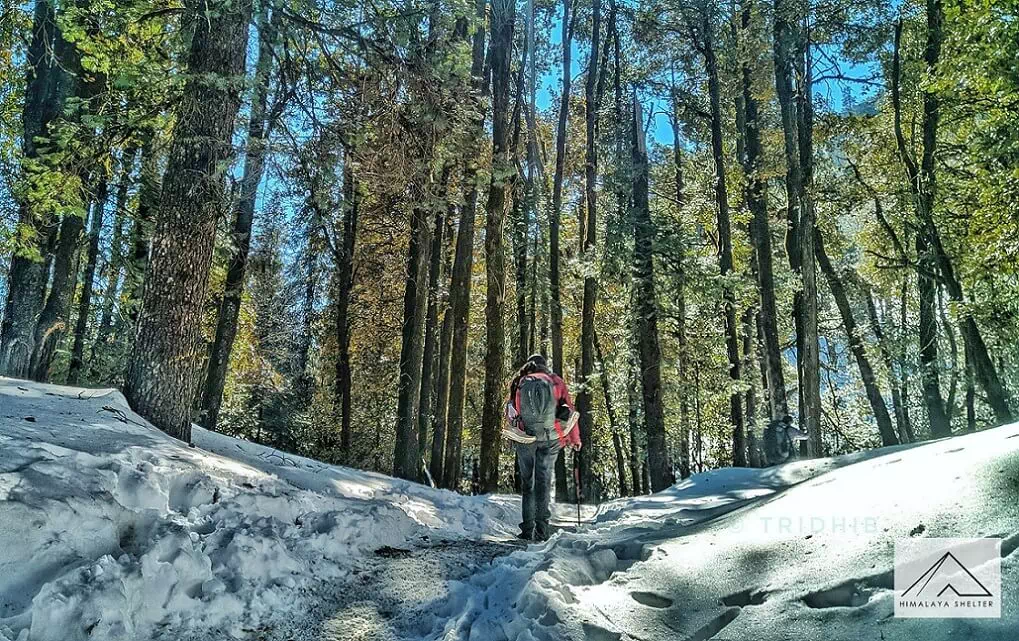 Gallery photo - Kedarkantha Trek 3