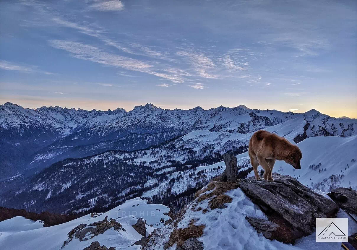 Gallery photo - Kedarkantha Trek 6