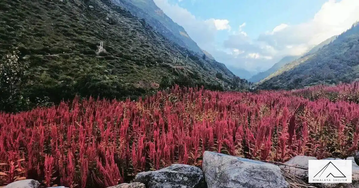 Har Ki Dun Trek In Autumn