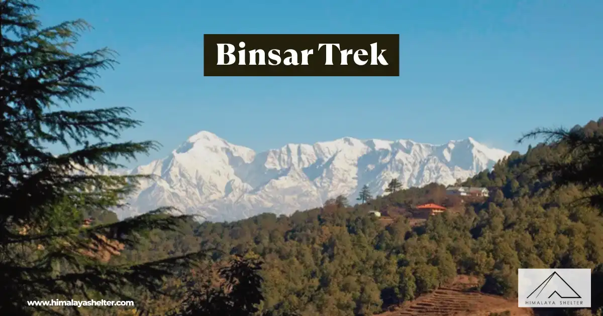 Binsar Trek