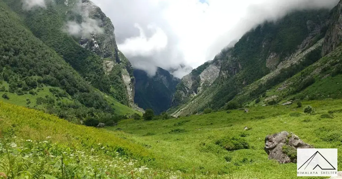 Valley Of Flowers