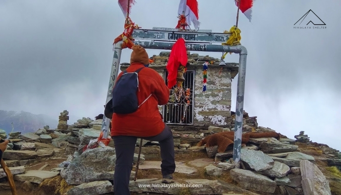 https://himalayashelter.com/trek/chopta-chandrashila-trek/
