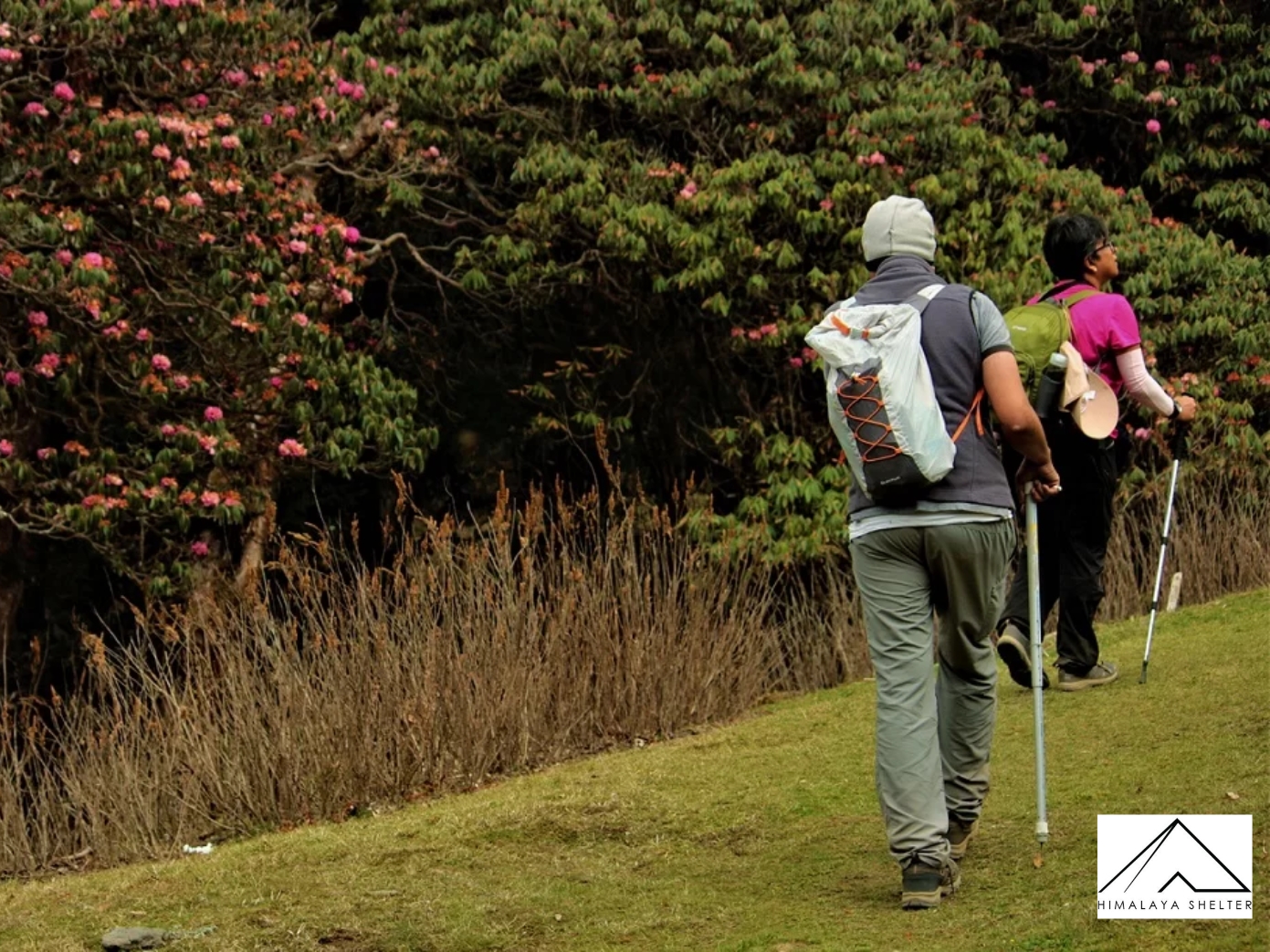 Chopta Chnadrashila Trek