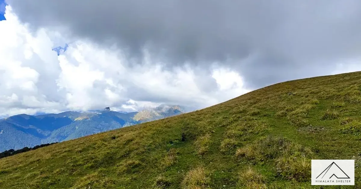 Ali Bedni Bugyal Trek