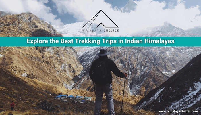 Explore the Best Trekking Trips in Indian Himalayas