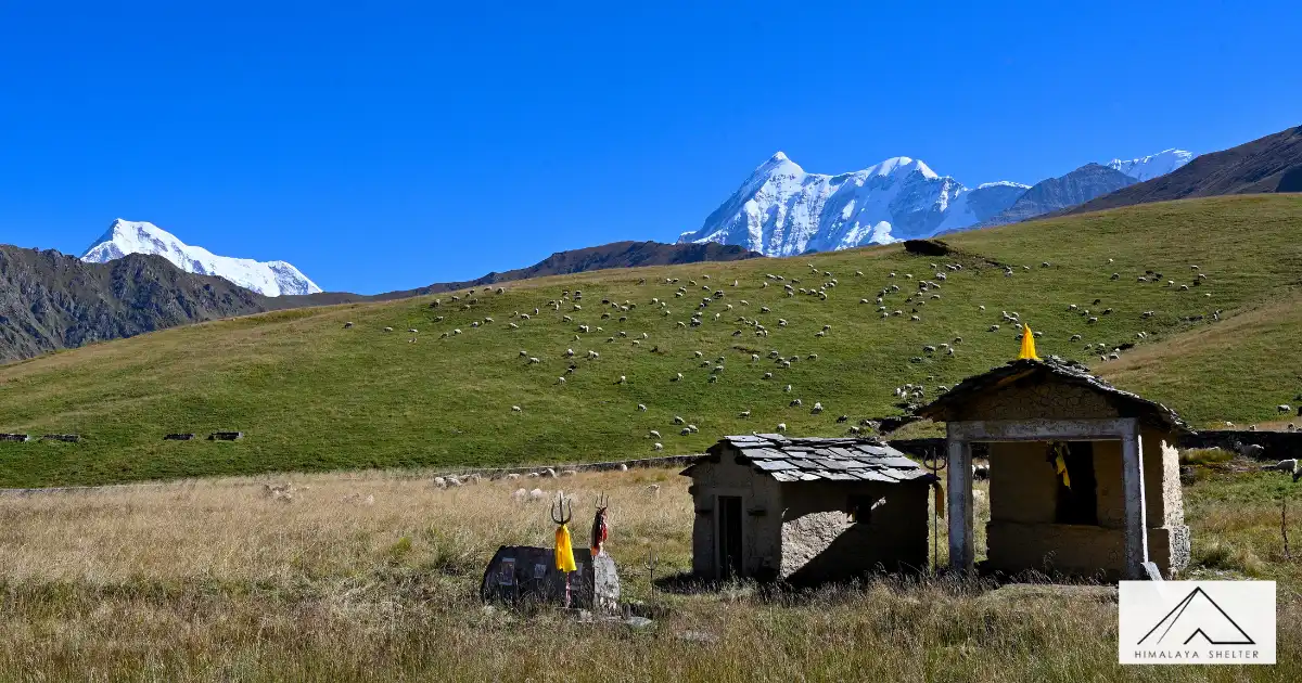 Ali Bedni Bugyal Trek