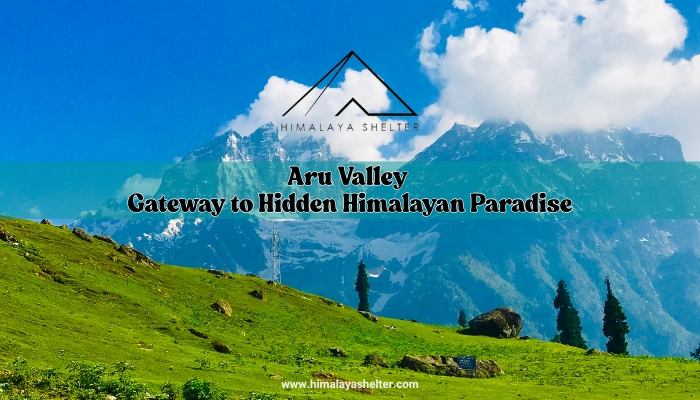 Aru Valley Gateway to Hidden Himalayan Paradise